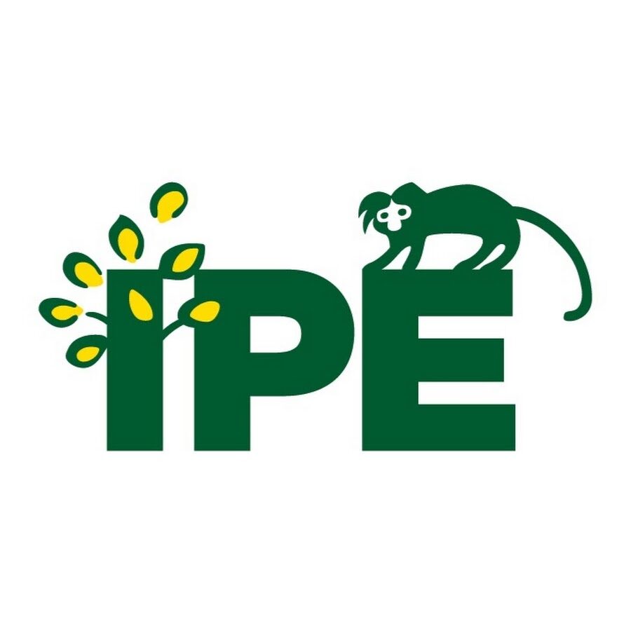 IPÊ Logo