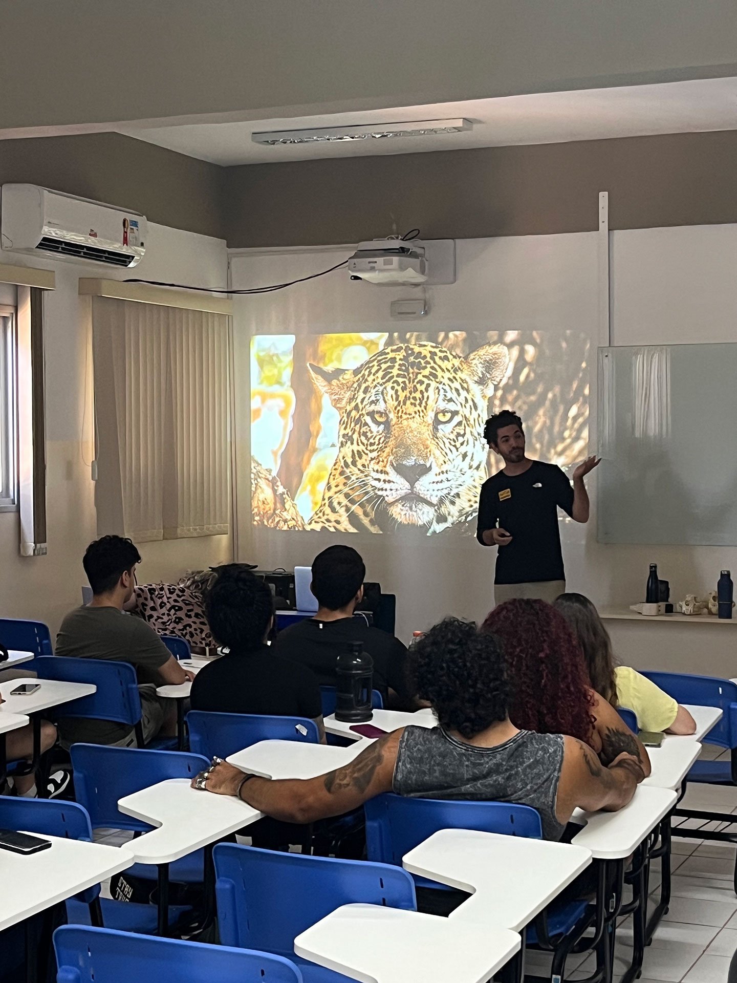 Onçafari - Educação