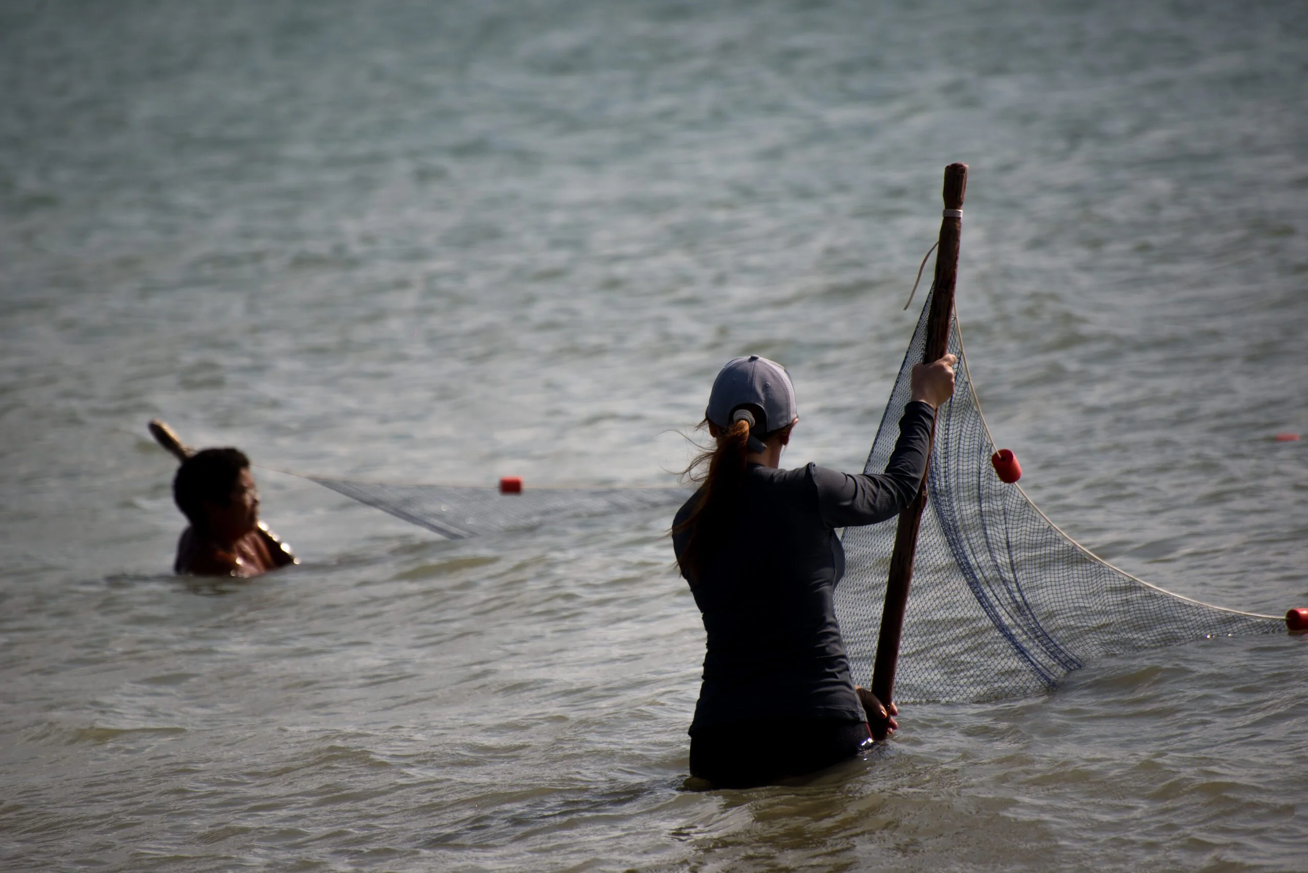 Pesca
